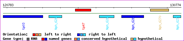 gene map