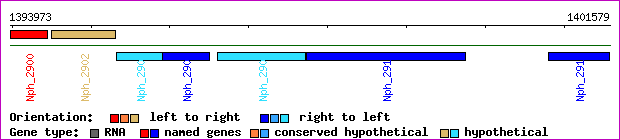 gene map