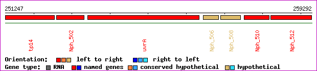 gene map
