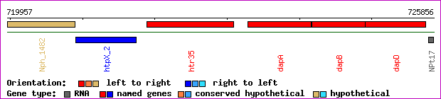 gene map