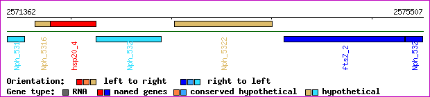gene map