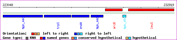 gene map