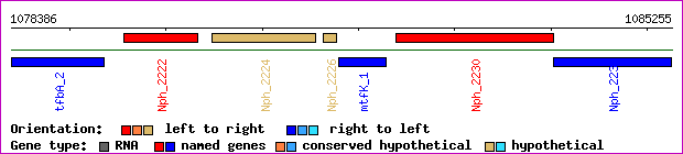 gene map