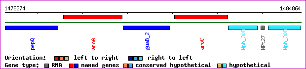 gene map