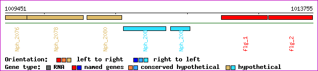 gene map