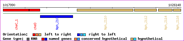 gene map