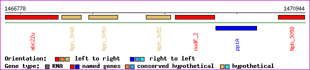 gene map