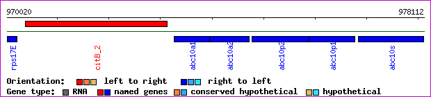 gene map