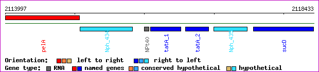 gene map