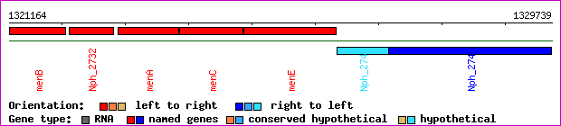 gene map