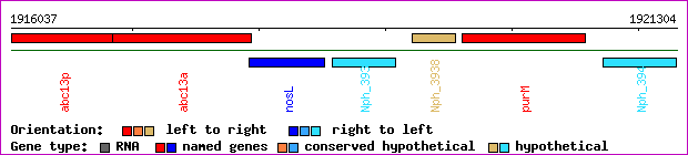 gene map