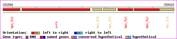 gene map