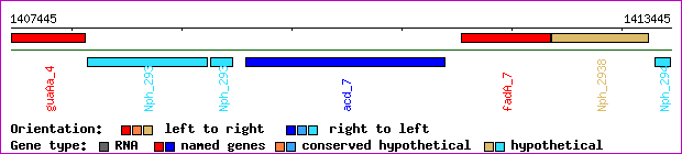 gene map