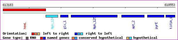 gene map