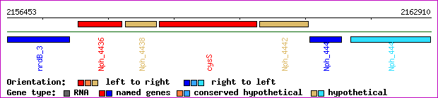 gene map