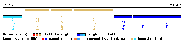 gene map