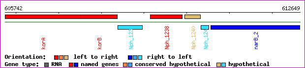 gene map