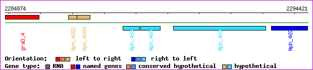 gene map