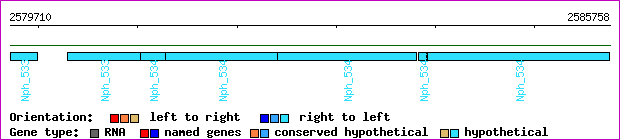 gene map