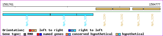 gene map