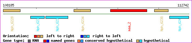 gene map