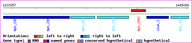 gene map