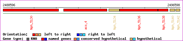 gene map