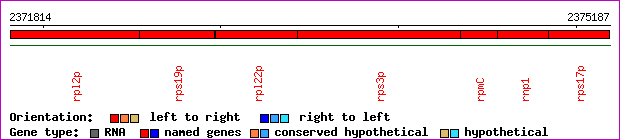 gene map