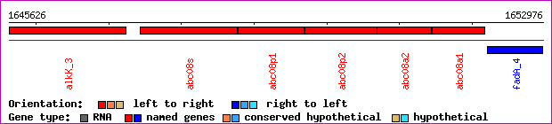 gene map