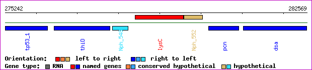 gene map