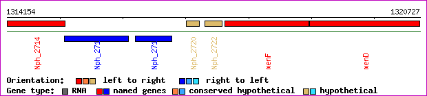 gene map