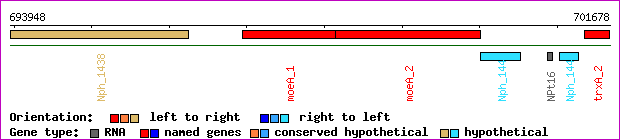 gene map