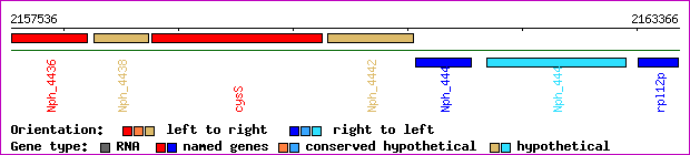 gene map