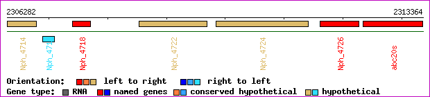 gene map