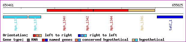 gene map