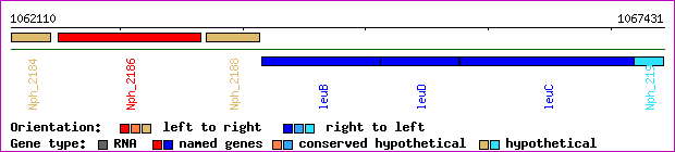gene map