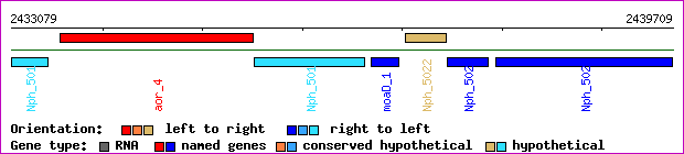 gene map