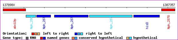 gene map