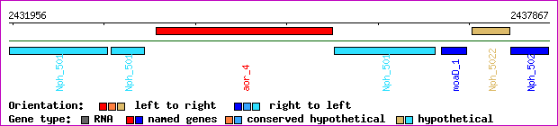 gene map