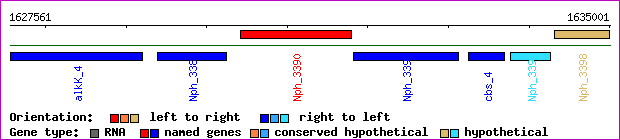 gene map