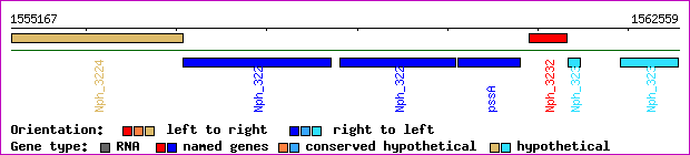 gene map