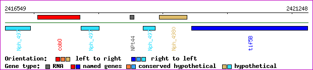 gene map