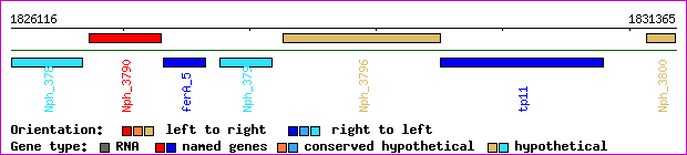 gene map