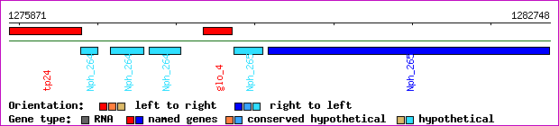 gene map