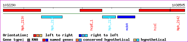 gene map