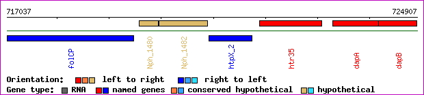 gene map