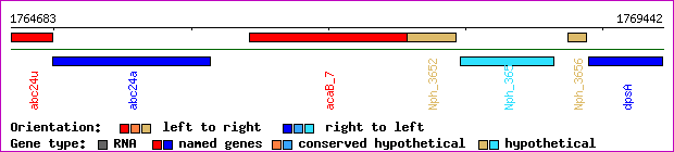 gene map