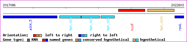 gene map