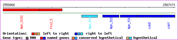 gene map