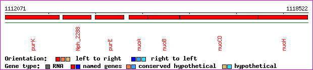gene map